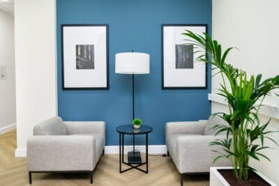 A blue office with two chairs and a plant.
