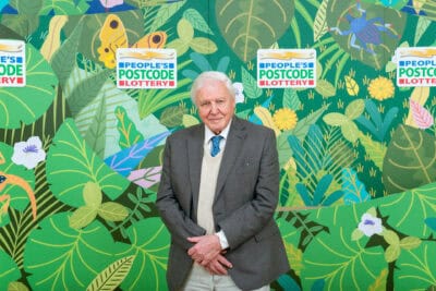 A man in a suit standing in front of a jungle mural.