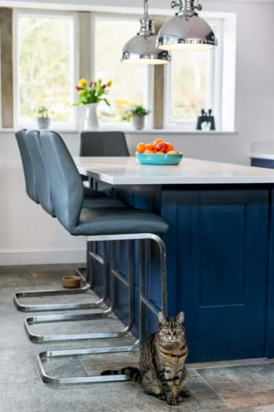 A cat sits on a kitchen island.